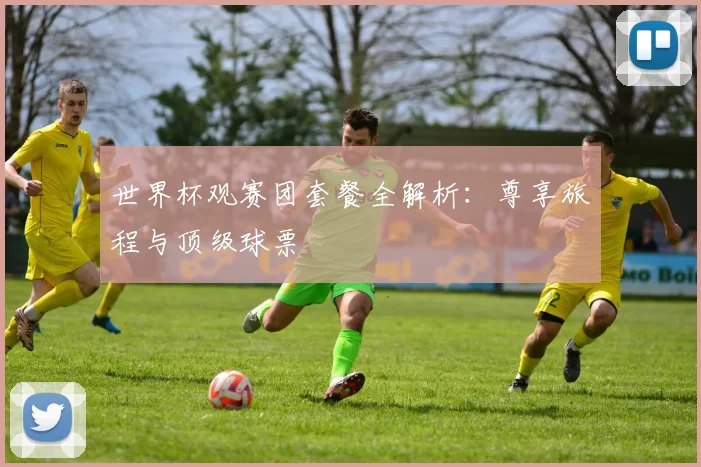 世界杯观赛团套餐全解析:尊享旅程与顶级球票